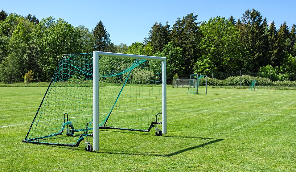 Balón en la línea de gol
